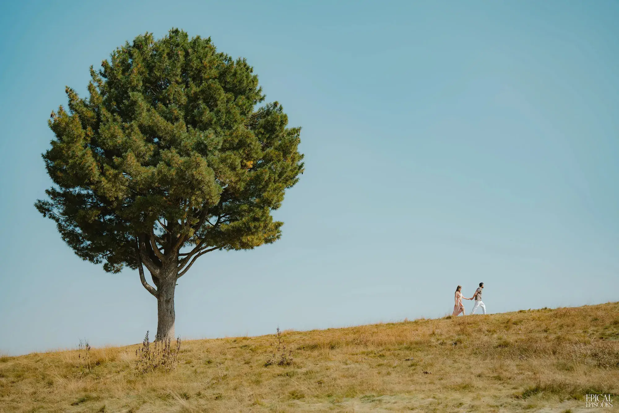 A couple walking together across an open hillside beneath a lone tree