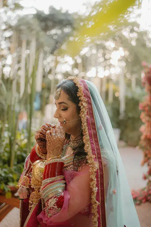 Shikhar and Aanandita, photograph 41